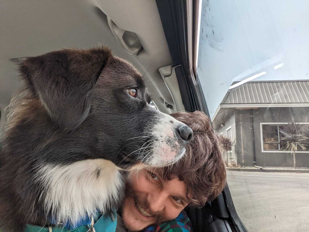 ���� 38916297 ������� ������, 33 ����, ���� ���������� � �����-����������