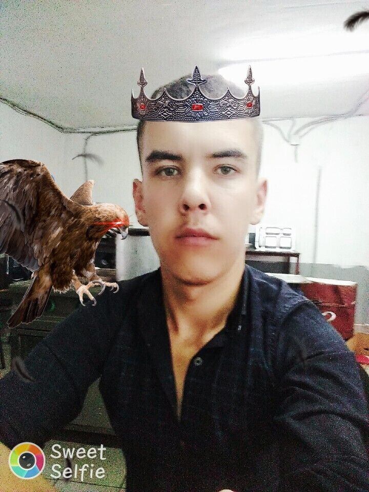  ,   Dima, 23 ,   ,   , c 