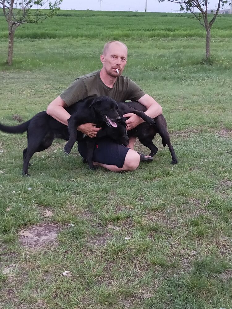  44050347  , 42 ,    --