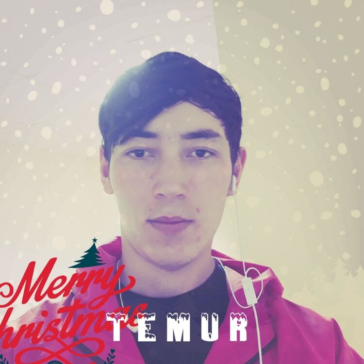 ���������� ������, ���� ������� Temur, 31 ���, ������������ ��� ������, ����� � ���������, c�������� ���������