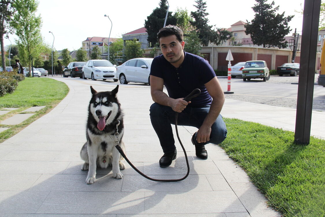  5977167  Elnur, 35 ,    