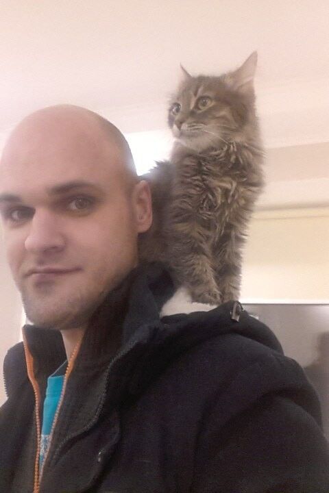 ���������� ����, ���� ������� ��������, 41 ���, ������������ ��� ������, ����� � ���������, c�������� ���������