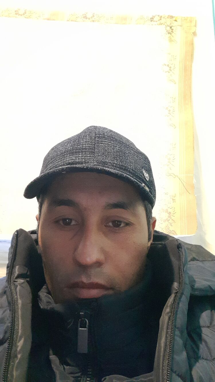  41491077  , 36 ,    -