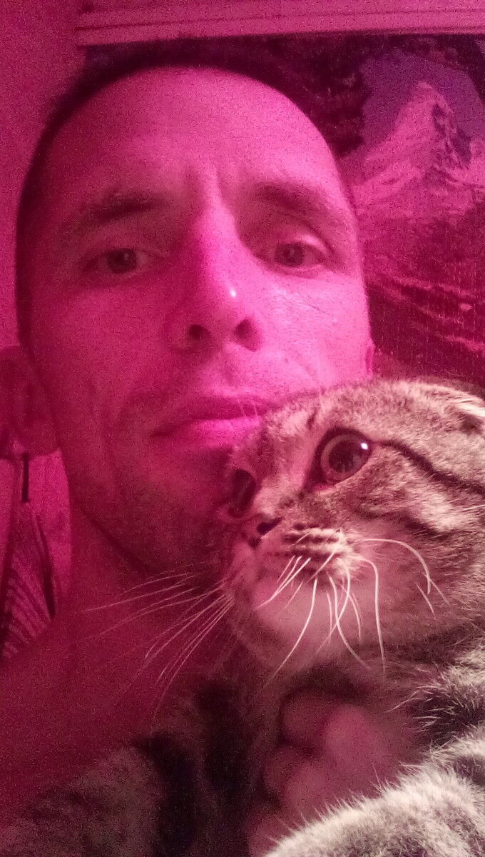 ���� 17808607 ������� ����, 43 ����, ���� ���������� � ������