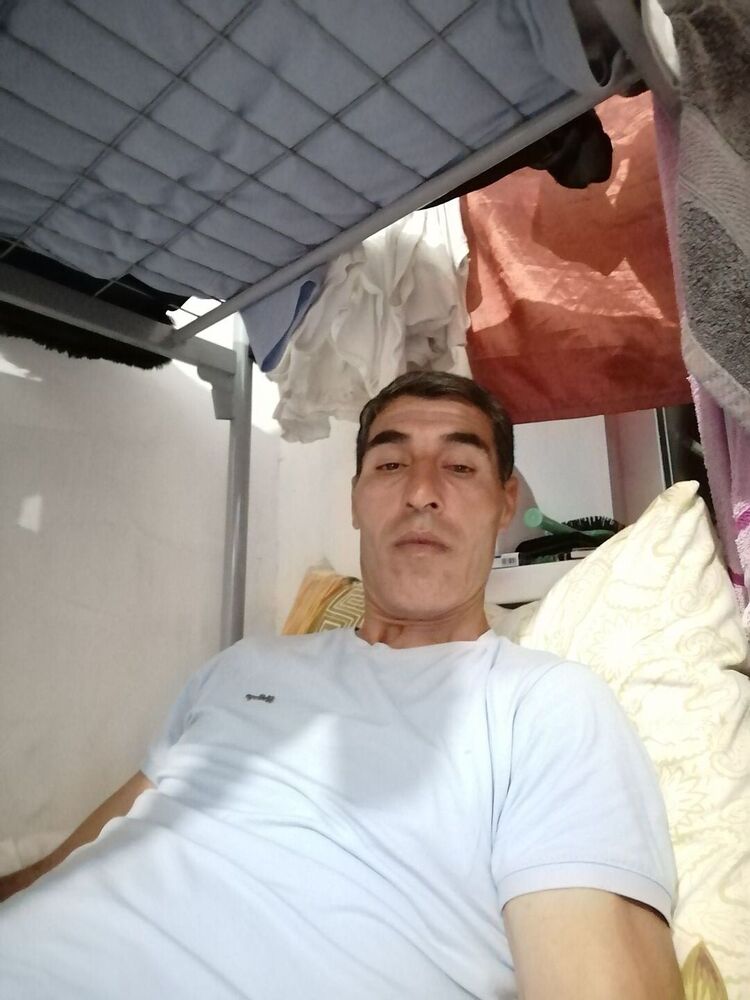  29332657  , 41 ,    
