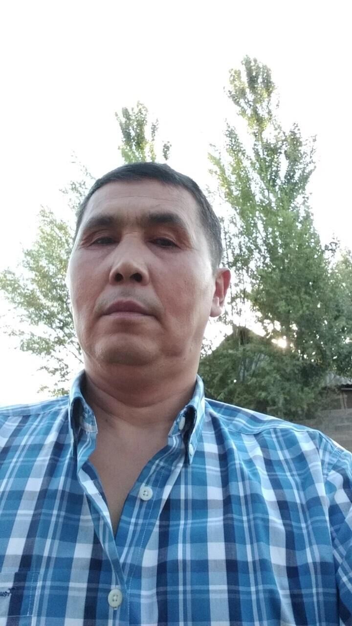 ���� 23549677 ������� ������, 44 ����, ���� ���������� � �������