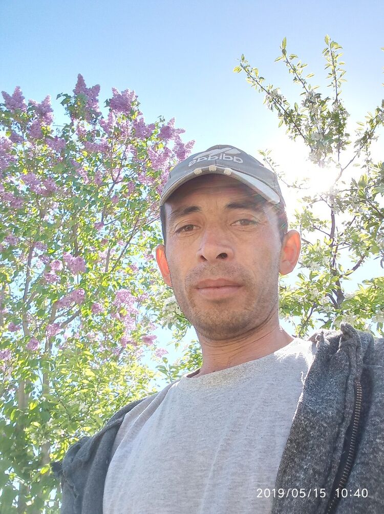  ,   , 46 ,   ,   , c , 