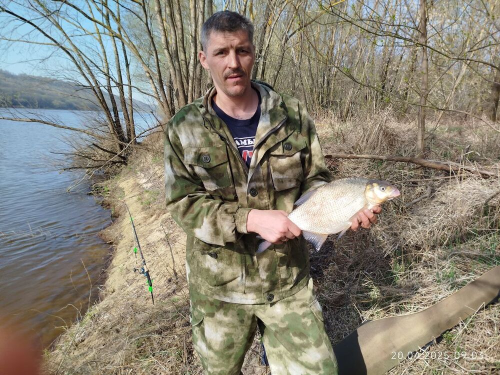 ���������� ���������, ���� ������� ���������, 39 ���, ������������ ��� ���������