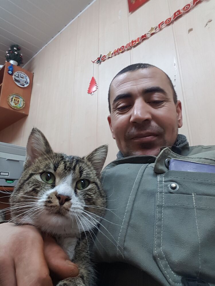 ���� 26787847 ������� ����, 34 ����, ���� ���������� � �����-����������