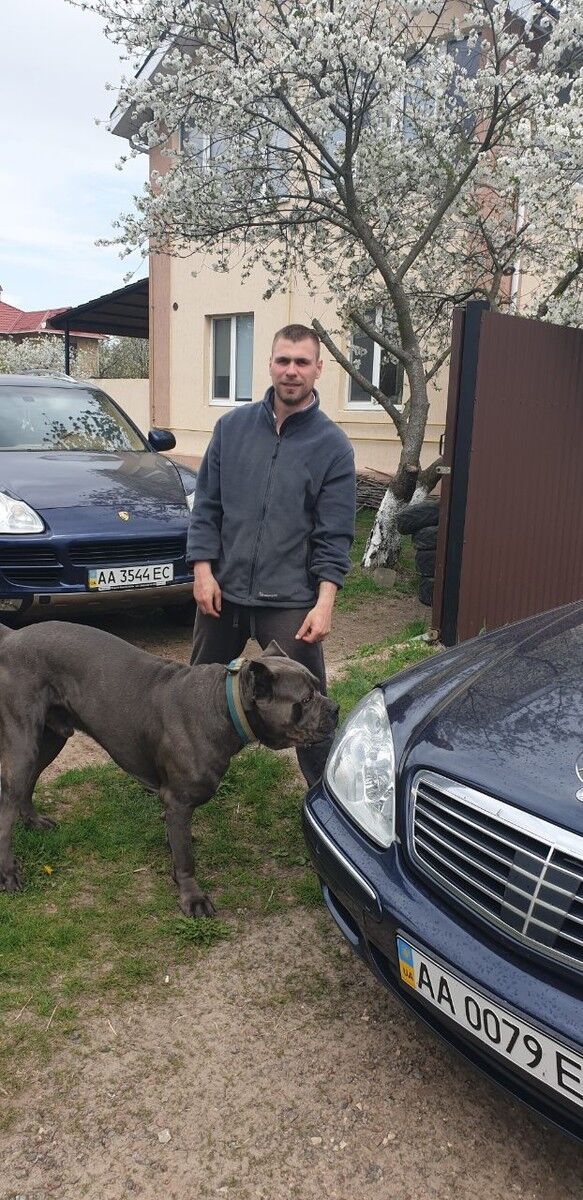 ���������� ����, ���� ������� ������, 33 ����, ������������ ��� ������, ����� � ���������, c�������� ���������