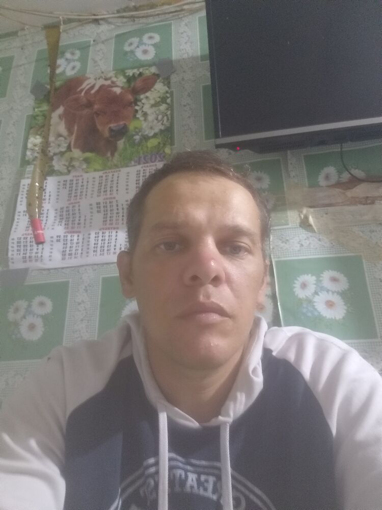  24755467  , 40 ,    Novy