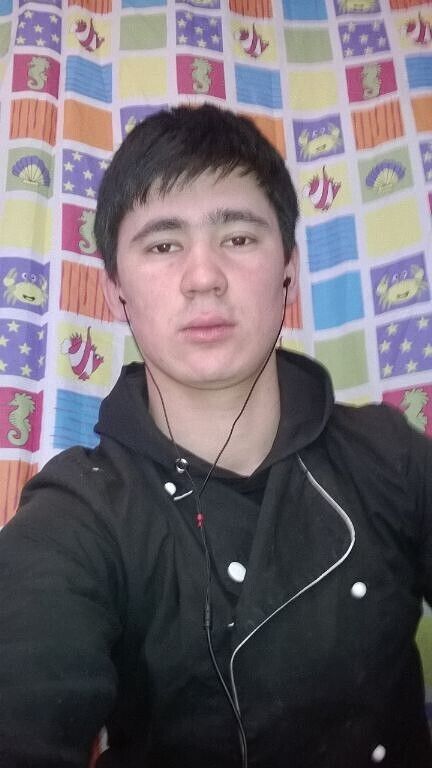 ���� 33541467 ������� ����, 33 ����, ���� ���������� � ������