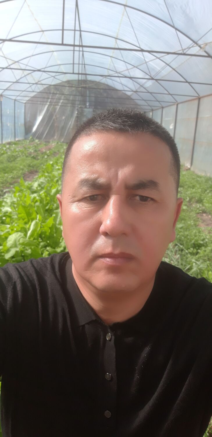  41823777  , 44 ,    