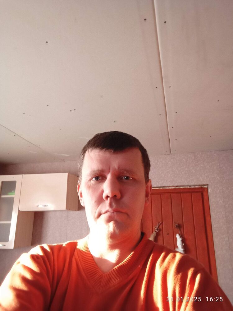  51124257  , 42 ,    