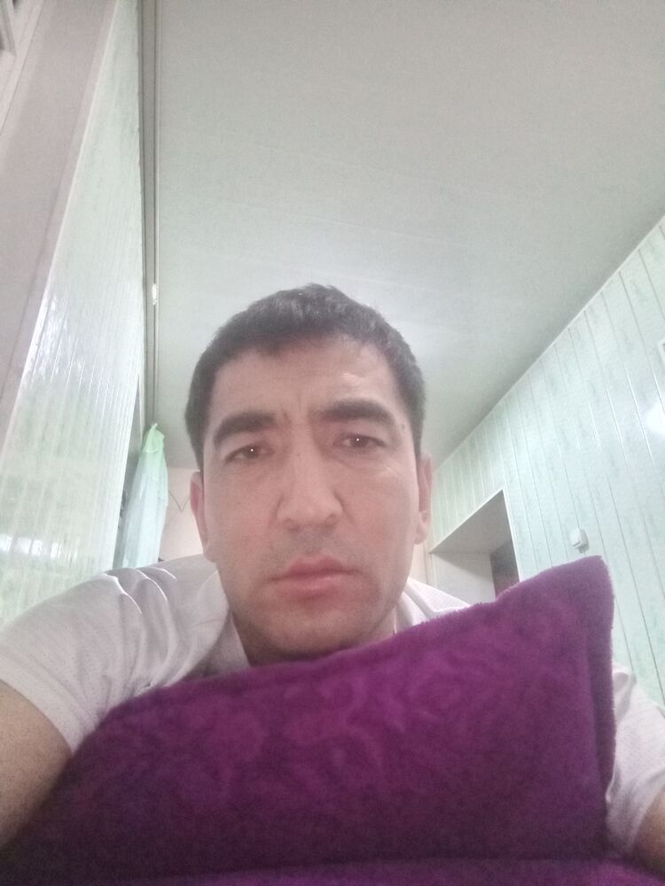  49634447  , 38 ,    