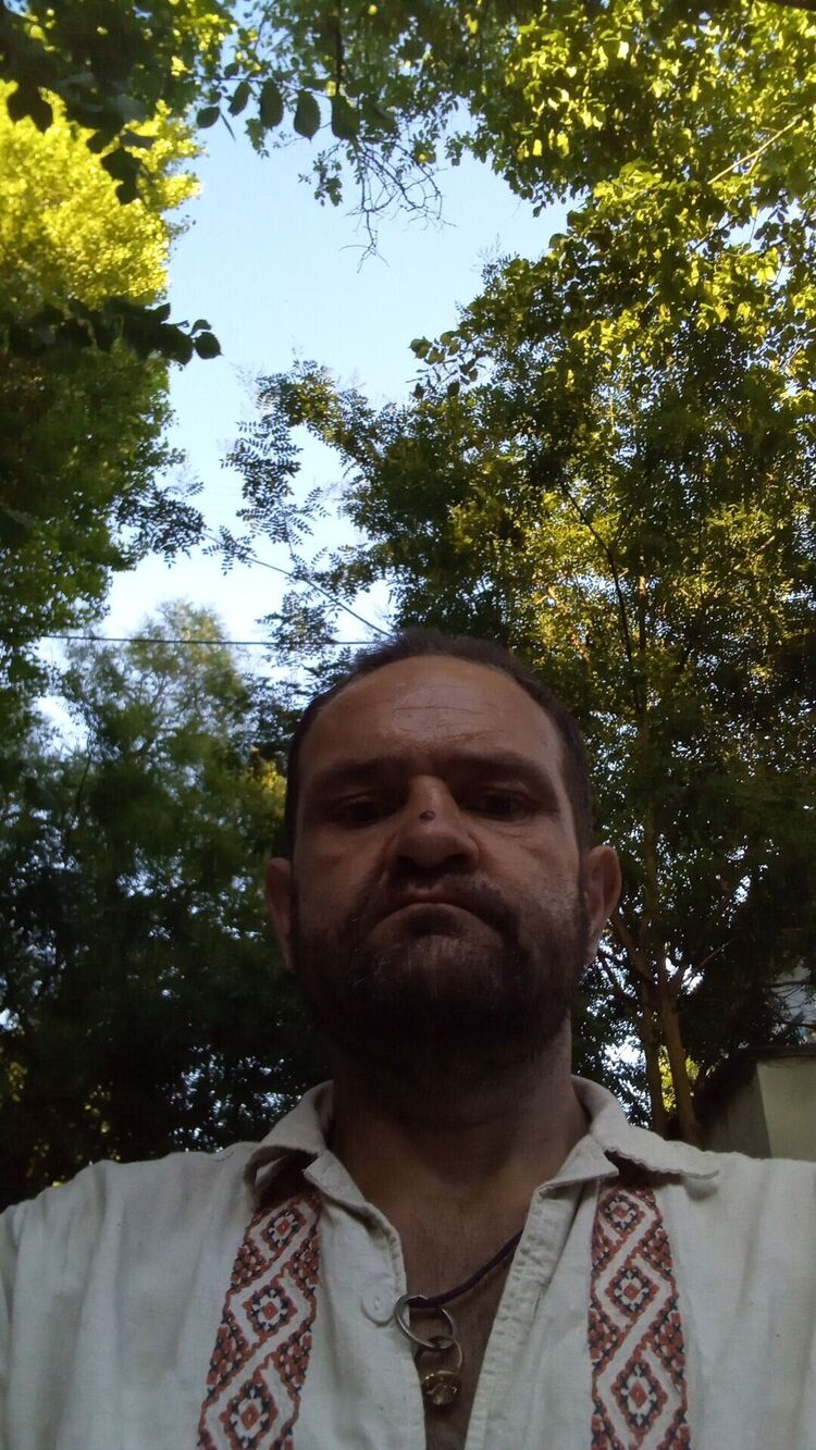  44811217  , 44 ,    