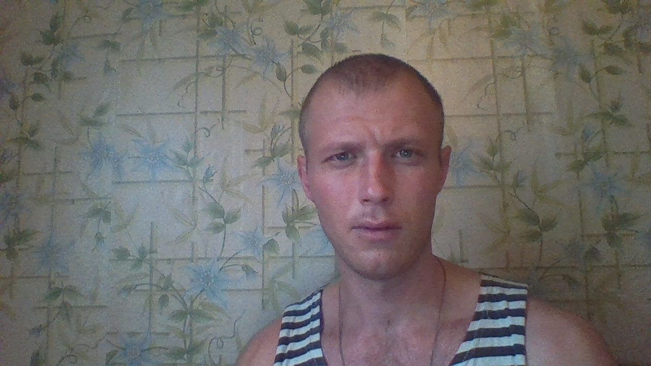  29441647  , 40 ,     