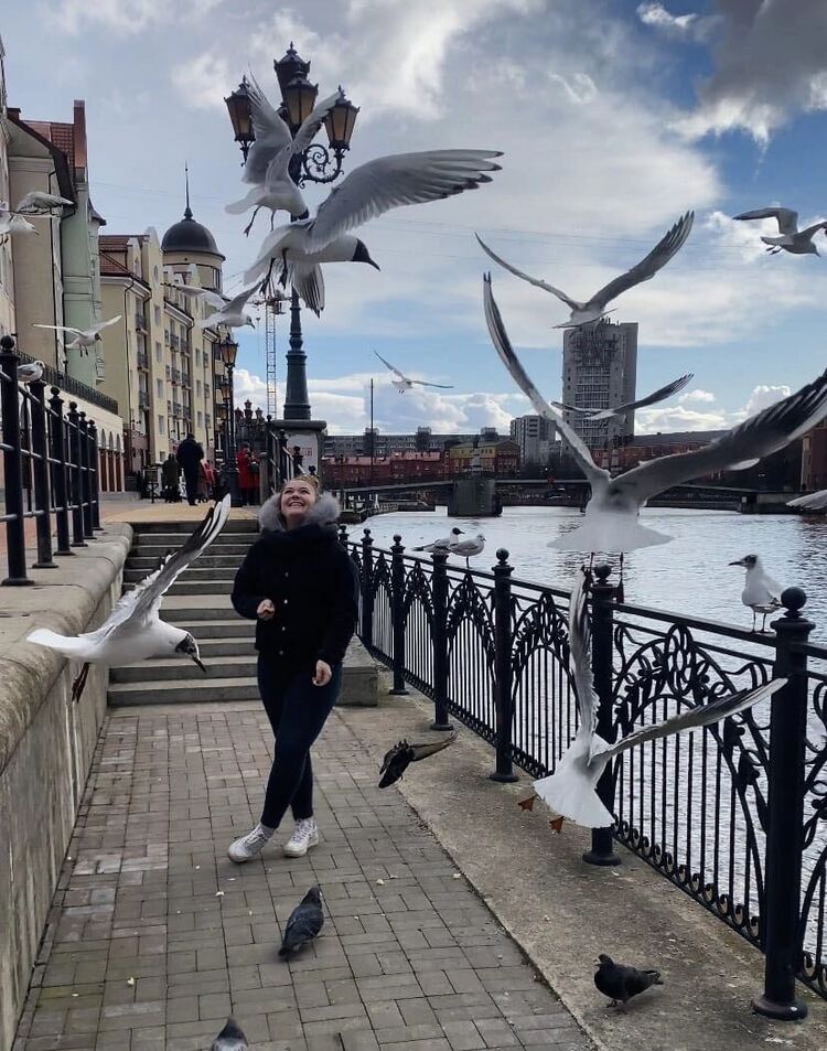 ���������� ������, ���� ������� ������, 23 ����, ������������ ��� ������, ����� � ���������