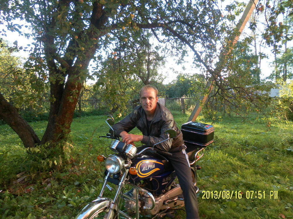  14499687  , 43 ,    