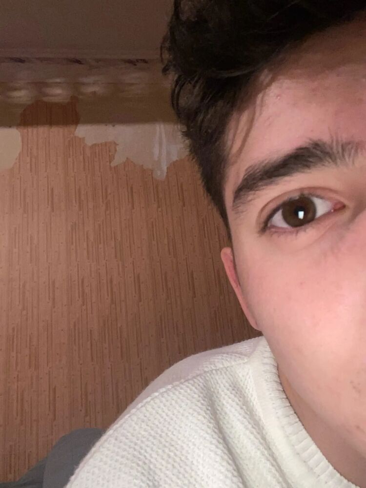 ���������� ����, ���� ����� �������, 24 ����, ������������ ��� ������, ����� � ���������