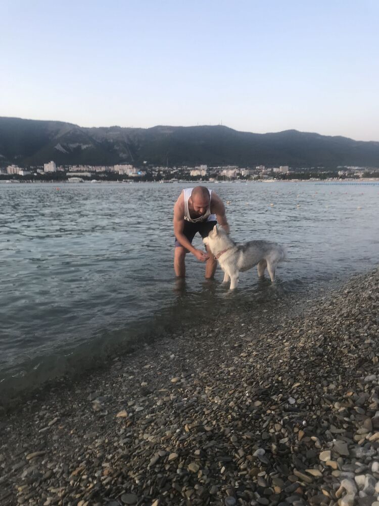 ���������� ���������, ���� ������� ����, 30 ���, ������������ ��� ������, ����� � ���������