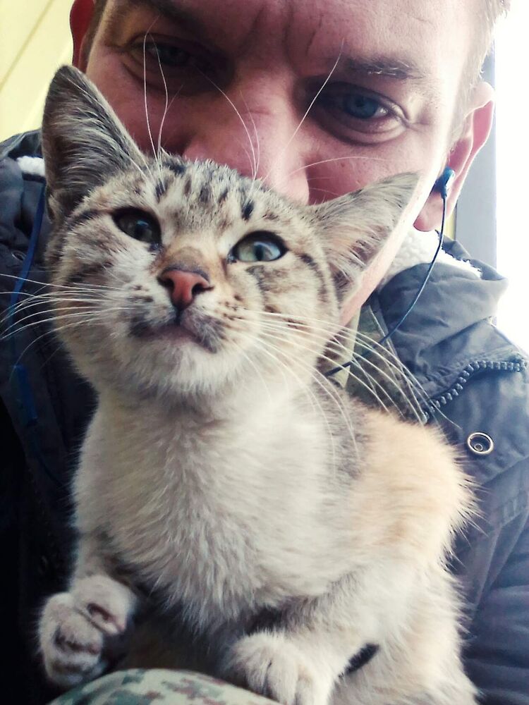 ���������� ������, ���� ������� �������, 40 ���, ������������ ��� ������, ����� � ���������