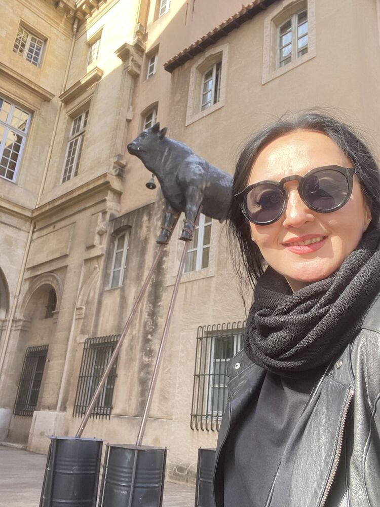  43449667  , 41 ,    -