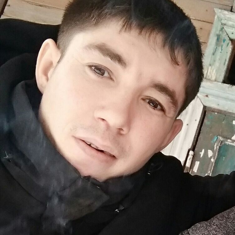  22175637  , 33 ,    