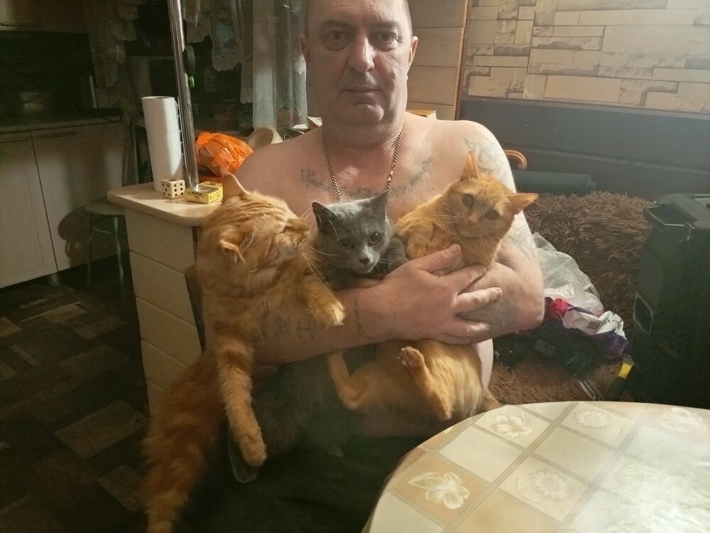 ���� 55085927 ������� �����, 51 ���, ���� ���������� � �������