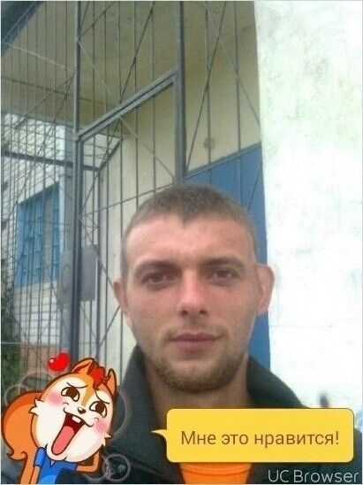  8901537  , 38 ,    -