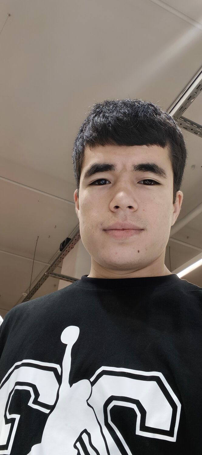  53365437  , 22 ,    