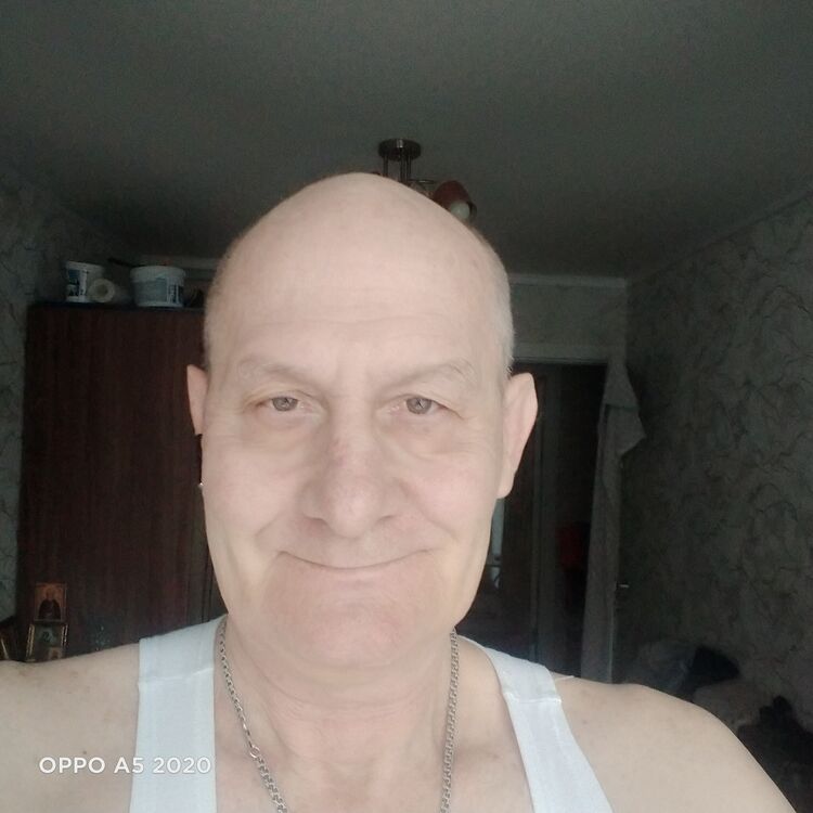  44184177  , 61 ,    