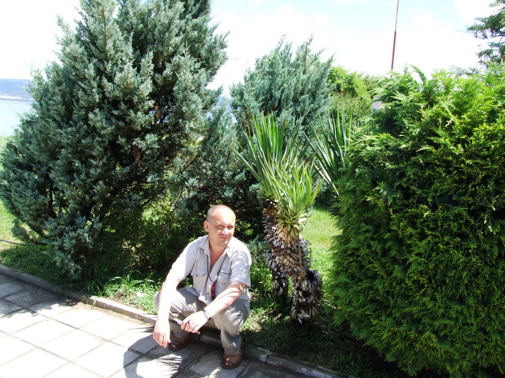 ���� 4244347 ������� ������, 53 ����, ���� ���������� � ������