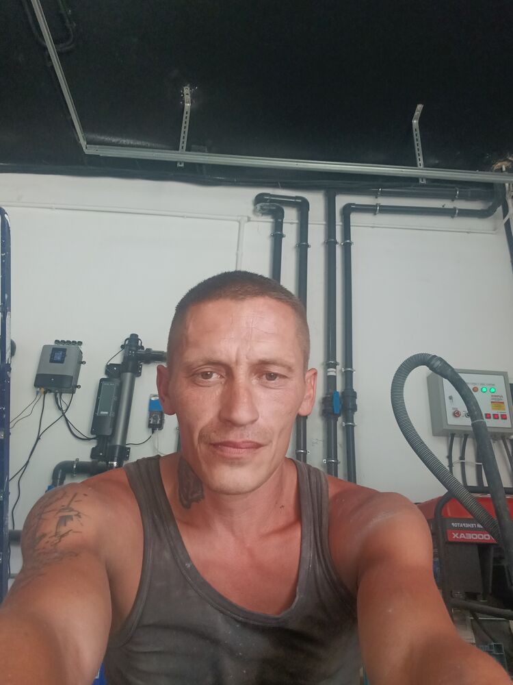  53384667  , 38 ,    