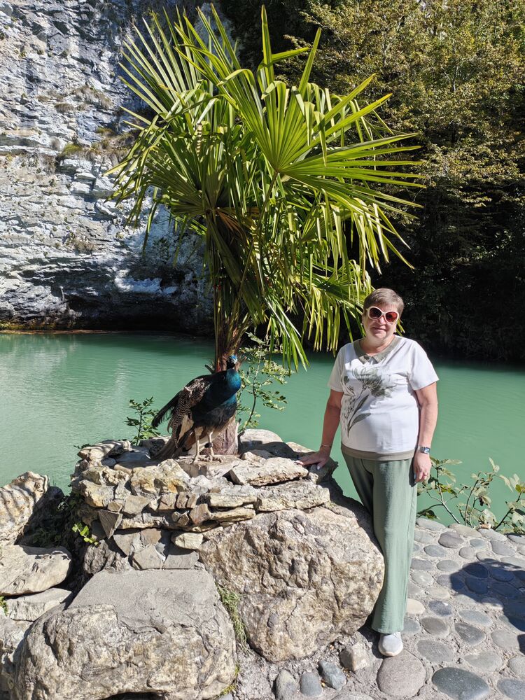  53761427  , 58 ,    -