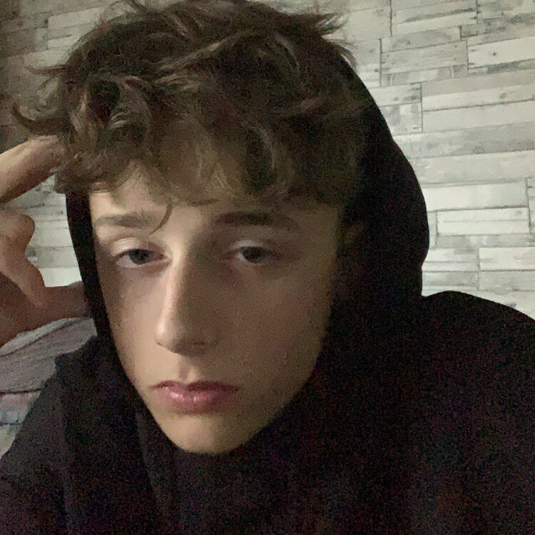 ���� 23343877 ����� ������, 23 ����, ���� ���������� � ��������