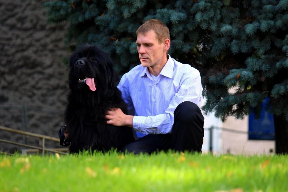 ���������� �������, ���� ������� �������, 44 ����, ������������ ��� ����� � ���������, c�������� ���������