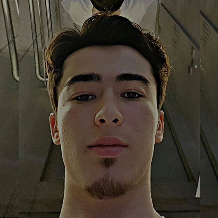  48055077  , 24 ,    