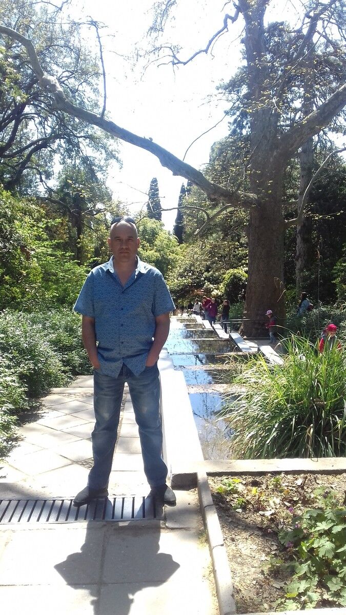  ,   , 51 ,  