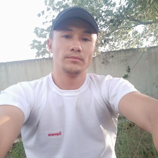  ,   Umid, 33 ,   ,   