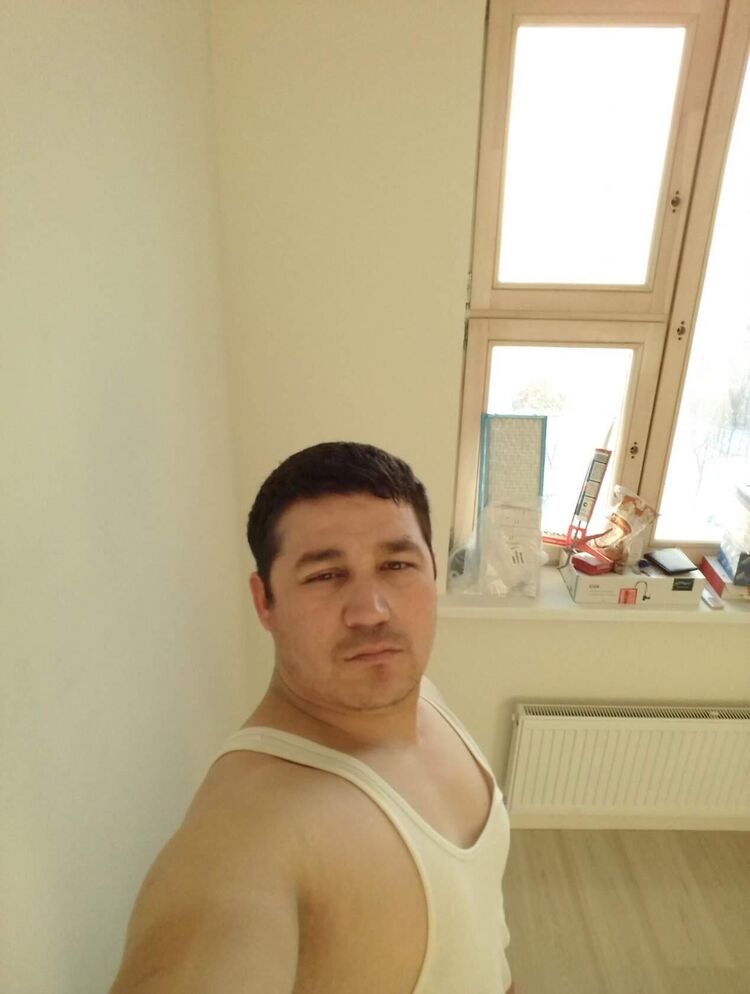  33358947  , 43 ,    