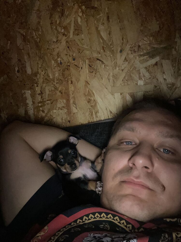 ���������� �����, ���� ������� �������, 33 ����, ������������ ��� ������, ����� � ���������, c�������� ���������