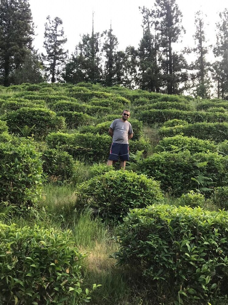 ���� 20402567 ������� �����, 28 ���, ���� ���������� � ����