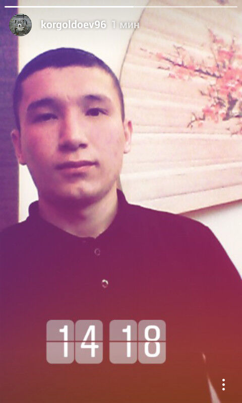  13655997  , 28 ,    