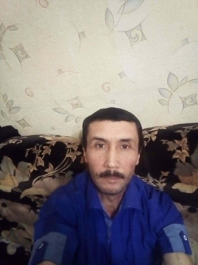  24482797  , 54 ,    