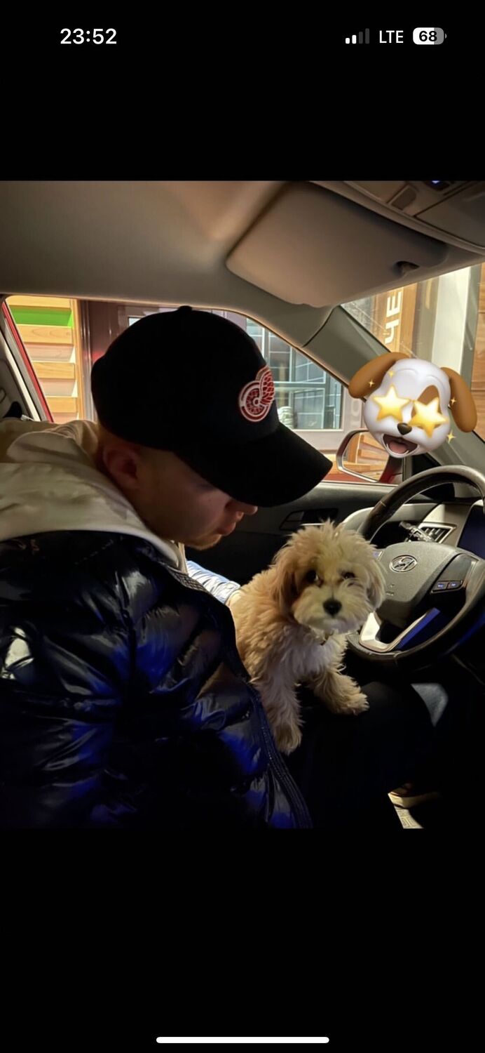 ���������� �����, ���� ������� Aleksandr, 26 ���, ������������ ��� ������, ����� � ���������