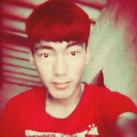 ���� 6116667 ������� Lychky, 115 ���, ���� ���������� � ������