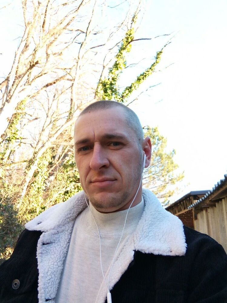  53981277  , 39 ,    