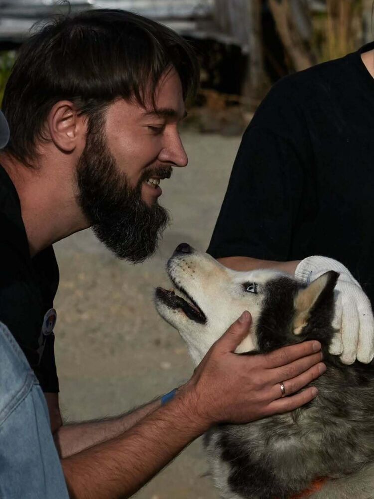 ���������� ������-��������, ���� ������� �������, 33 ����, ������������ ��� ������, ����� � ���������, c�������� ���������, ���������