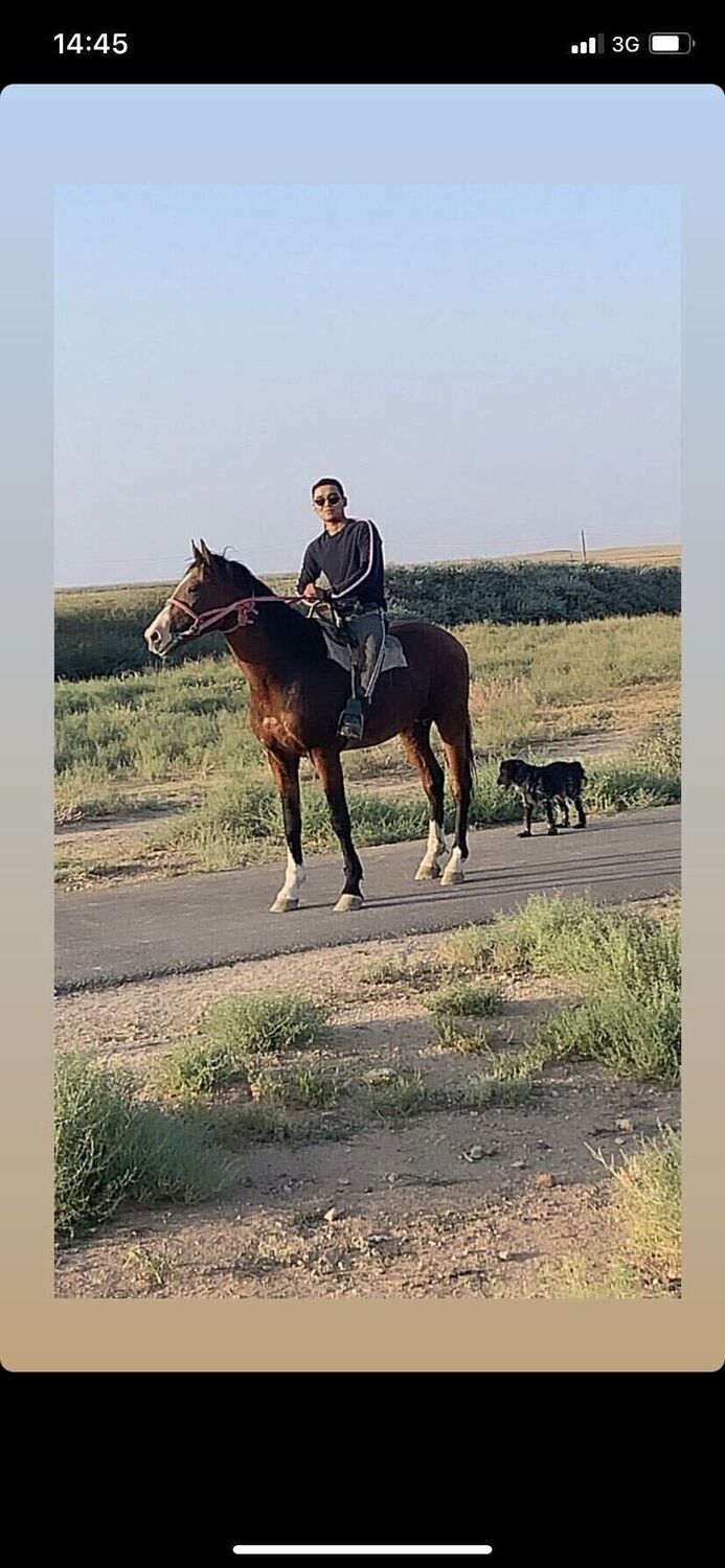  27067447  Nurseiil, 25 ,    